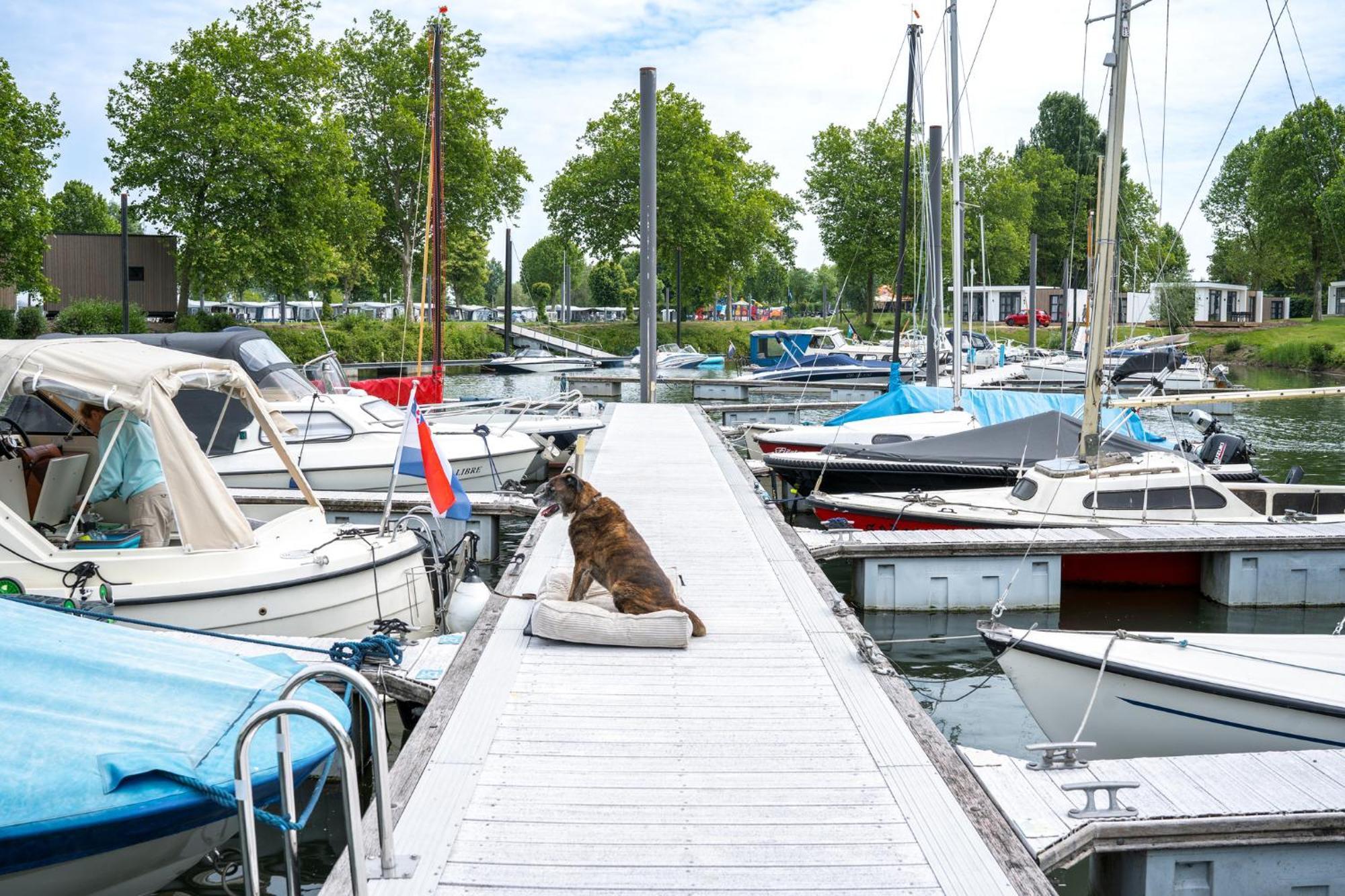 Marinapark Bad Nederrijn Hotel Maurik Bagian luar foto